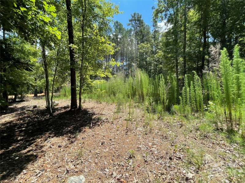 Property image 2 at 250 And 500 Cove Wood Drive, Denton, NC 27239