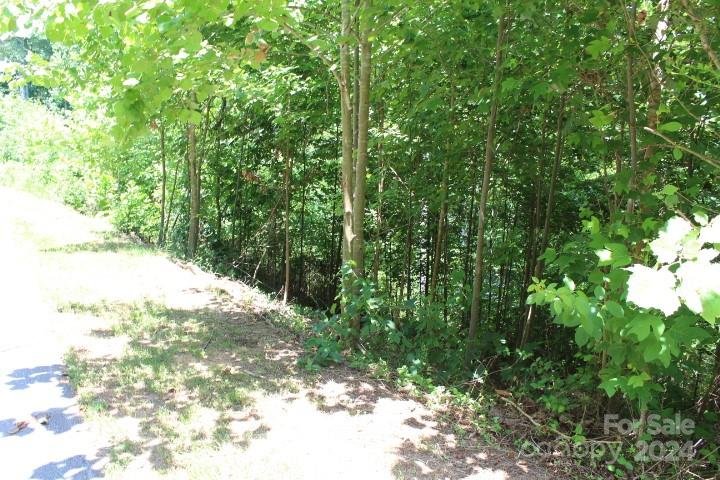 Property image 2 at 530 E Settings Boulevard, Valdese, NC 28690