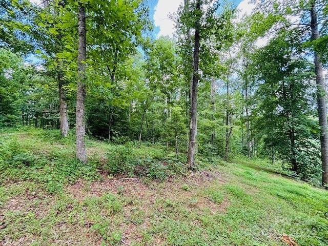 Property image 5 at 0 Plantation Drive Extension, Rutherfordton, NC 28139