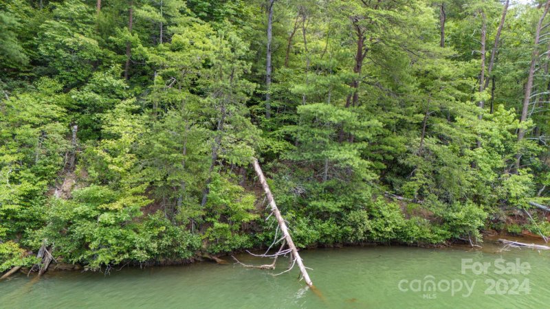 Property image 2 at 1710 Saylor Way, Nebo, NC 28761