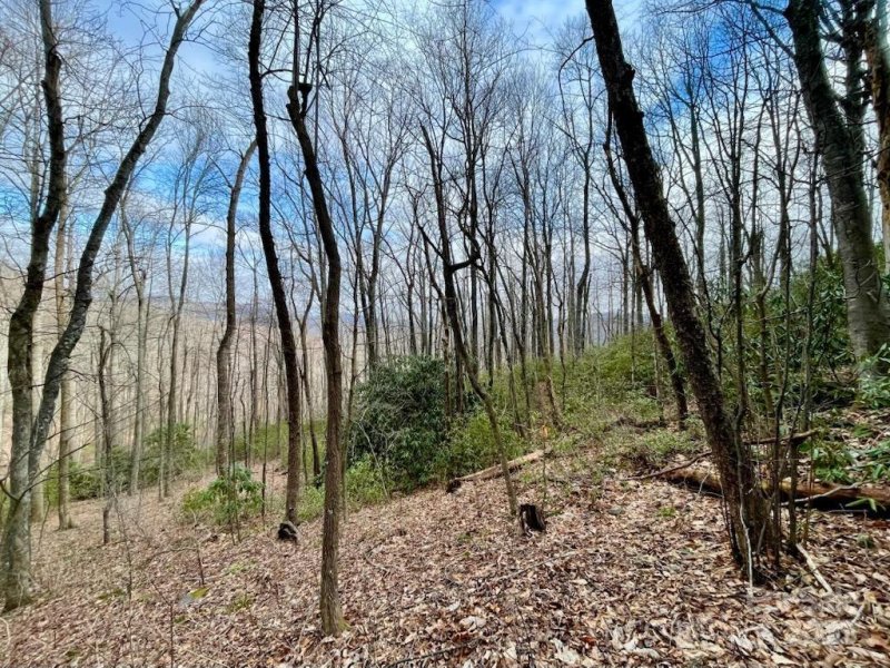 10 02 Acres Tbd Rock Garden Road