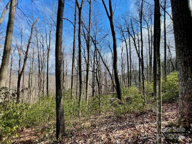 Property image 3 of 10 02 Acres Tbd Rock Garden Road in Idylwild, Black Mountain, NC 28711
