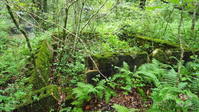 Property image 5 of 0000 Westridge Drive in Sweetbriar Farms, Lake Lure, NC 28746