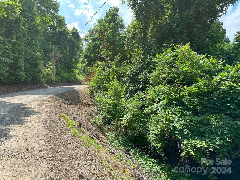 Property image 2 of Lot 303 Slippery Rock Road in Cataloochee Ranch Estates, Waynesville, NC 28785
