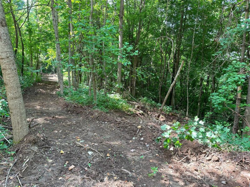 Property image 4 of Lot 303 Slippery Rock Road in Cataloochee Ranch Estates, Waynesville, NC 28785