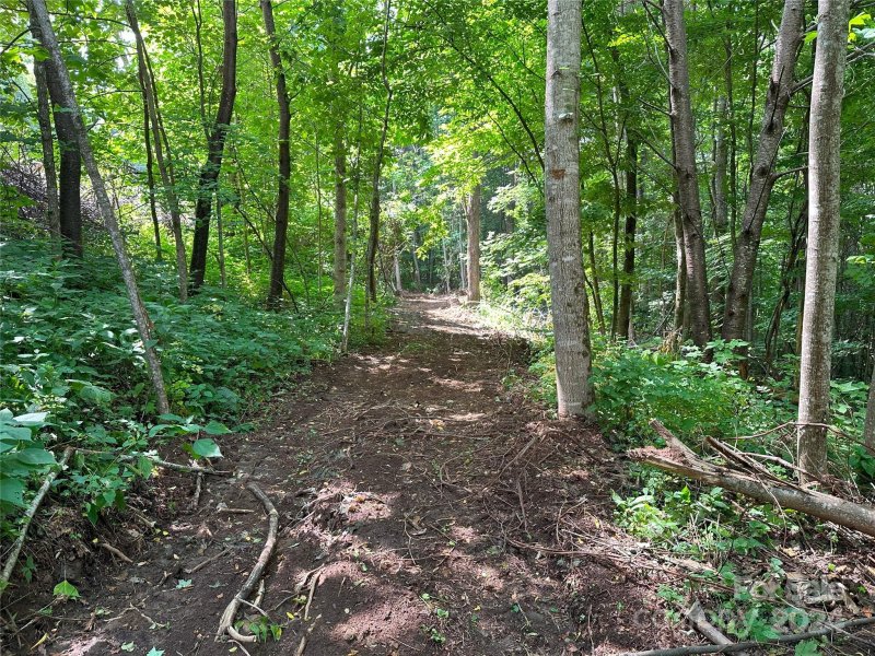 Property image 5 of Lot 303 Slippery Rock Road in Cataloochee Ranch Estates, Waynesville, NC 28785