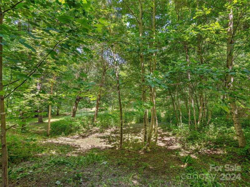 Property image 5 at 00 Red Bank Road, Waynesville, NC 28786