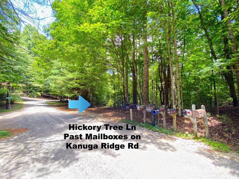 Property image 5 of Tbd Hickory Tree Lane in Kanuga Ridge, Hendersonville, NC 28739
