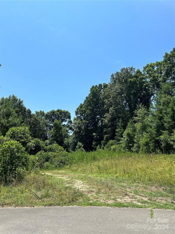 Property image 3 at 00 Beason Court, Kings Mountain, NC 28086