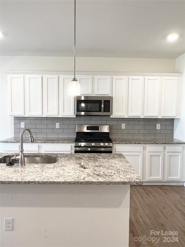 Property image 4 at 141 Harpers Run Lane, Matthews, NC 28104