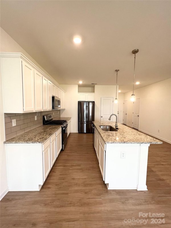 Property image 5 at 141 Harpers Run Lane, Matthews, NC 28104