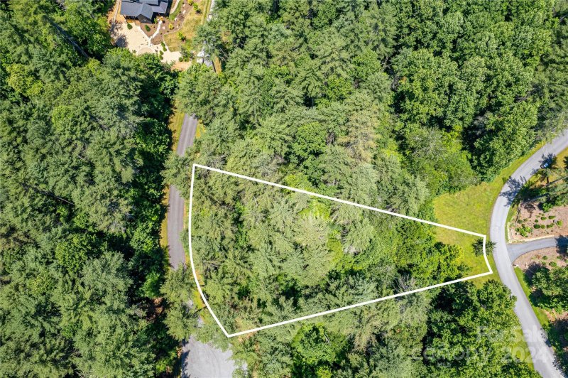 Tbd Mountain Brook Trail