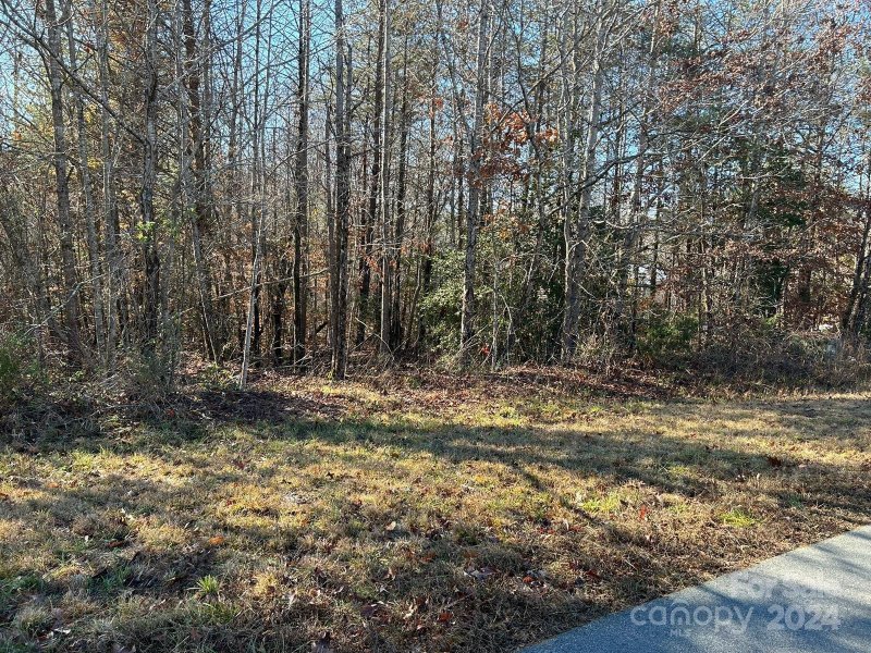 Property image 3 of 0 Dalmatian Street in Plank Estates, Iron Station, NC 28080