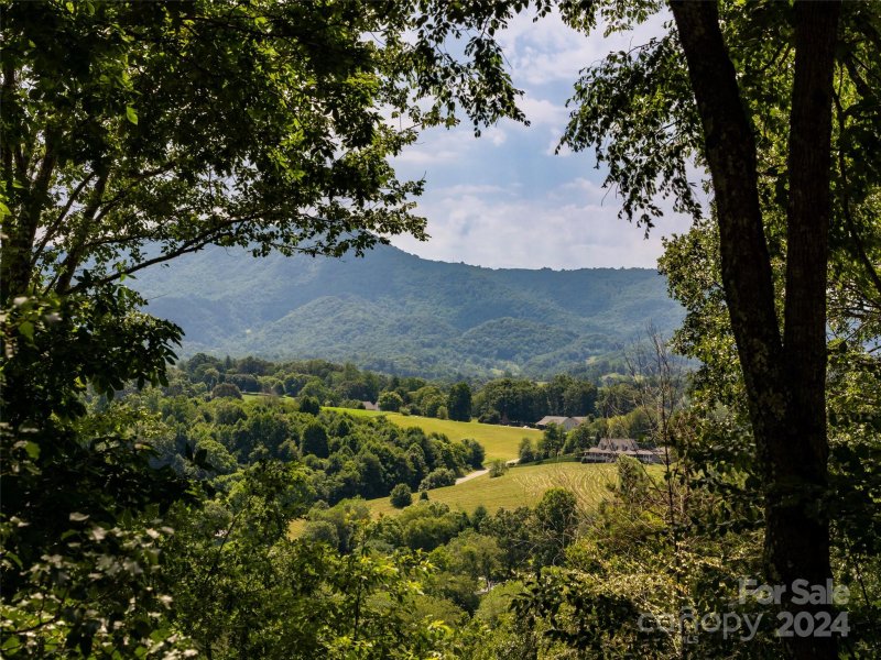 Property image 2 at 160 Turkey Hollow Court, Waynesville, NC 28785