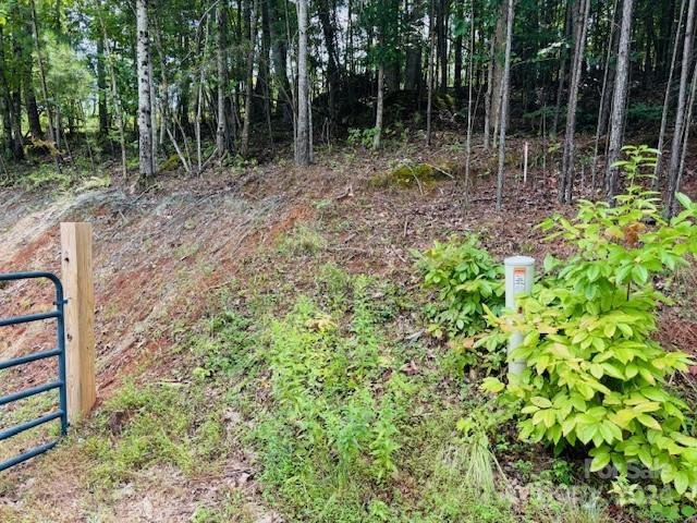 Property image 5 at 196 Moriah Drive, Rutherfordton, NC 28139