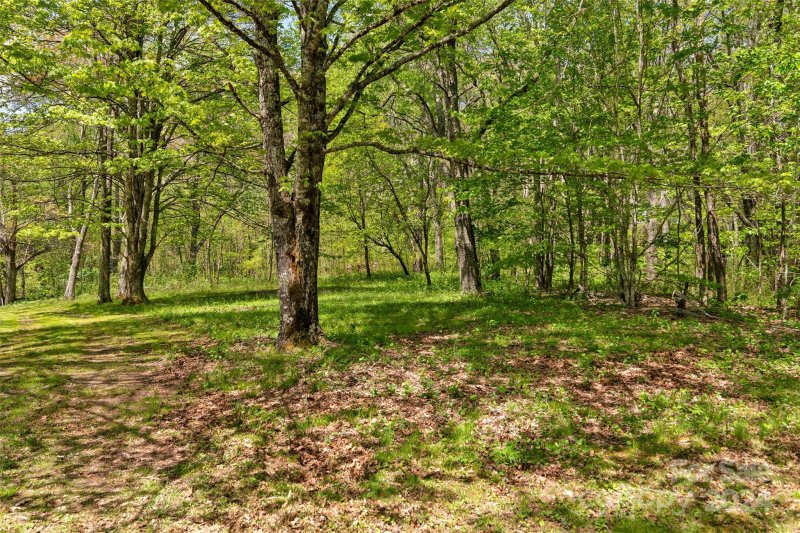 Property image 4 at 125 Octagon Place, Waynesville, NC 28786