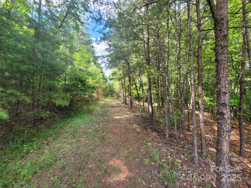 Property image 3 at 0 Mcowenben Pass, Lake Lure, NC 28746