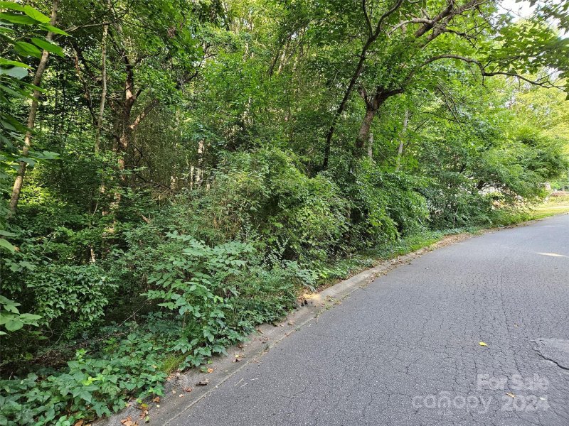 Property image 3 of 00 General Griffith Circle in Rutherford Towne, Rutherfordton, NC 28139