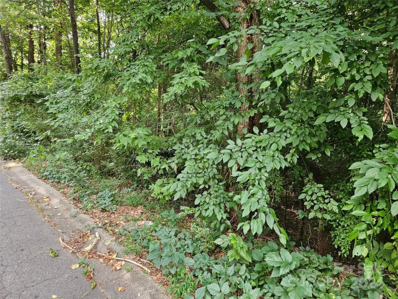 Property image 4 of 00 General Griffith Circle in Rutherford Towne, Rutherfordton, NC 28139