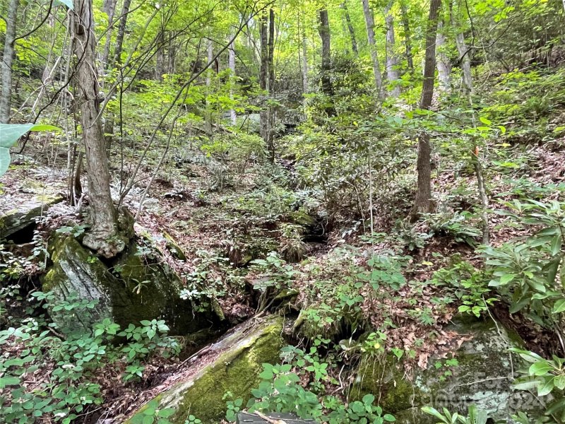 Property image 4 at 00 Eastatoe Gap Road, Rosman, NC 28772