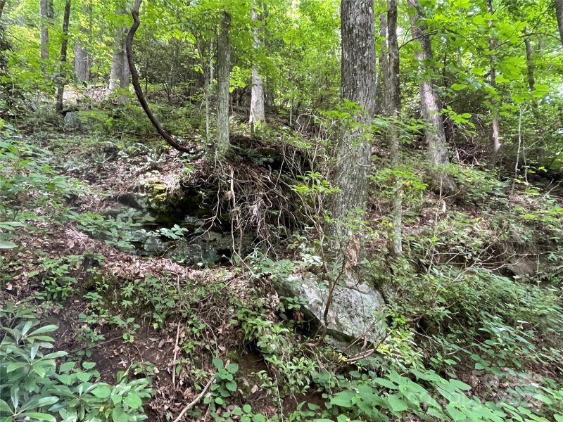 Property image 5 at 00 Eastatoe Gap Road, Rosman, NC 28772