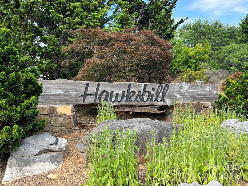 1057 Hawksbill Drive