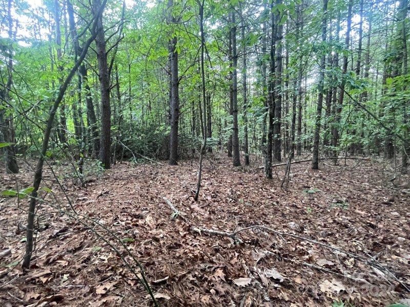 Property image 5 at 1057 Hawksbill Drive, Morganton, NC 28655