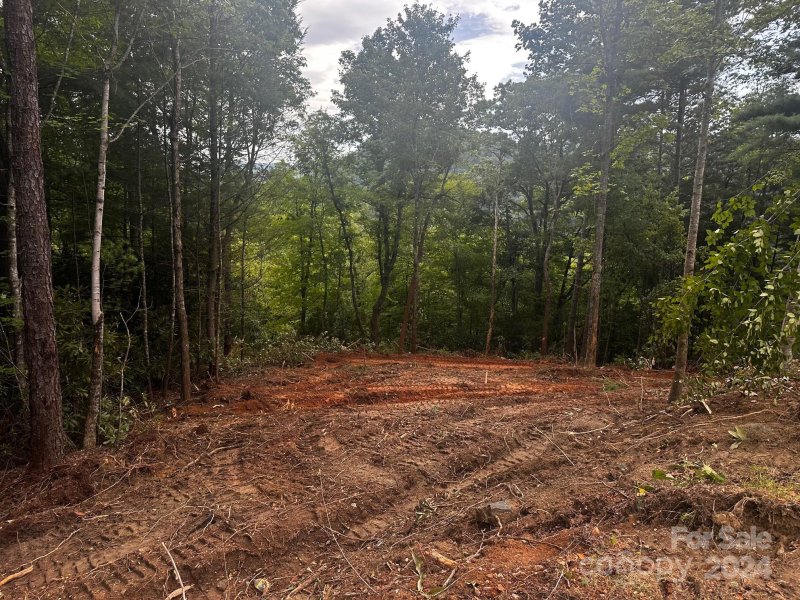 Property image 2 at 0000 Silverstone Drive, Hendersonville, NC 28792