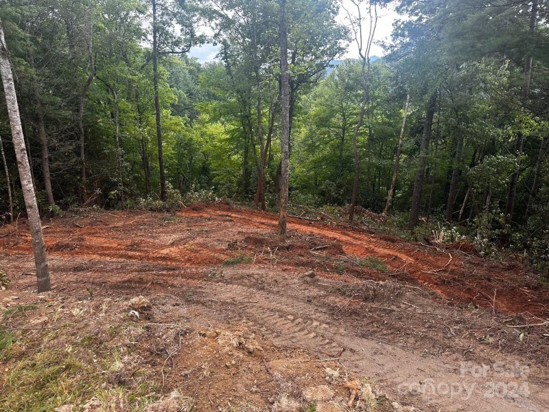 Property image 3 at 0000 Silverstone Drive, Hendersonville, NC 28792