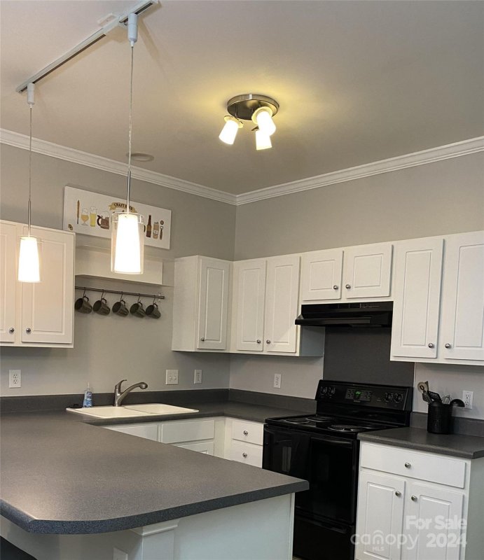 Property image 5 at 21721 Aftonshire Drive, Cornelius, NC 28031