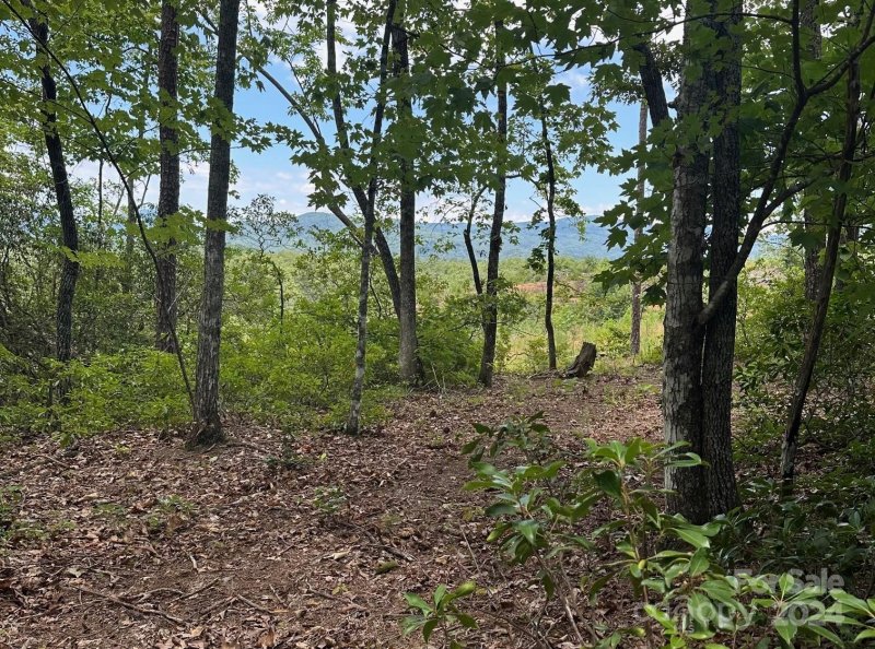 Property image 2 at Tbd Nors Way, Lake Lure, NC 28746