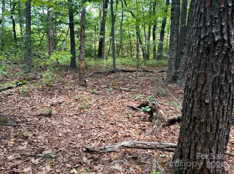 Property image 3 at Tbd Nors Way, Lake Lure, NC 28746