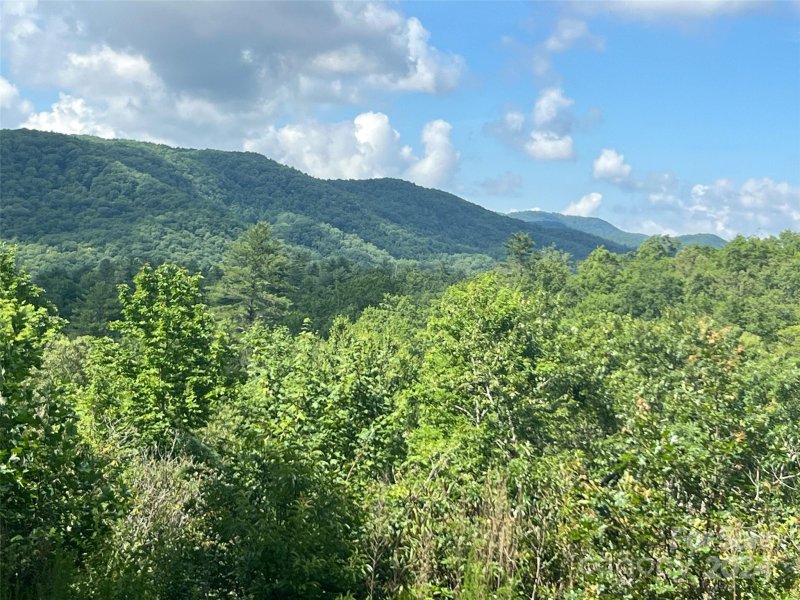 Property image 2 of 667 Laurel Thicket Lane in Big Hill, Brevard, NC 28712