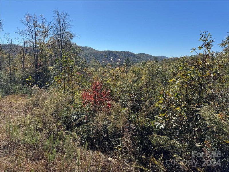 Property image 3 of 667 Laurel Thicket Lane in Big Hill, Brevard, NC 28712