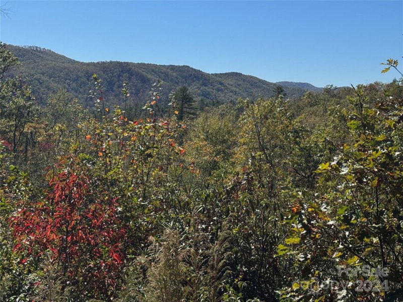 Property image 4 of 667 Laurel Thicket Lane in Big Hill, Brevard, NC 28712