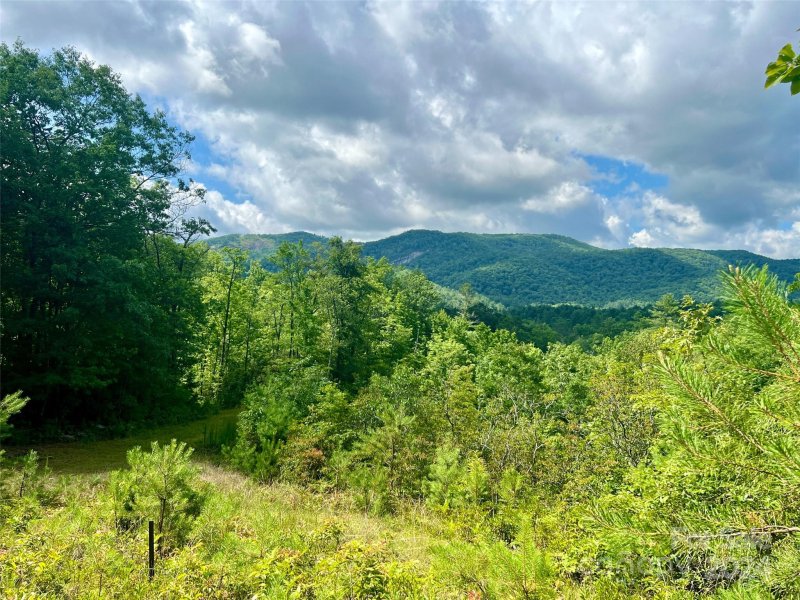 Property image 5 of 667 Laurel Thicket Lane in Big Hill, Brevard, NC 28712