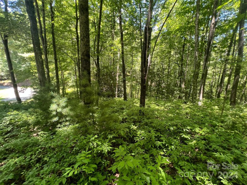 Property image 3 at 000 Courtney Court, Brevard, NC 28712