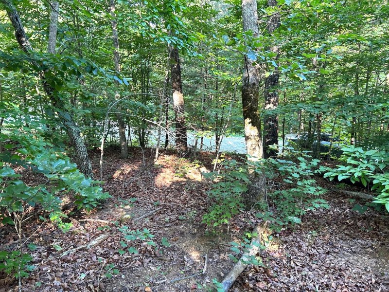 Property image 2 at 00 Beechwood Circle, Rutherfordton, NC 28139