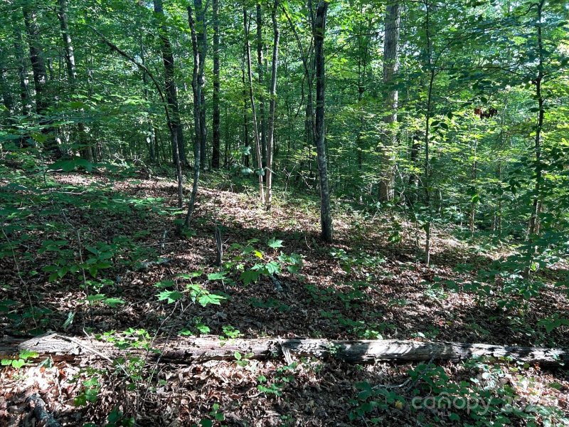 Property image 3 at 00 Beechwood Circle, Rutherfordton, NC 28139