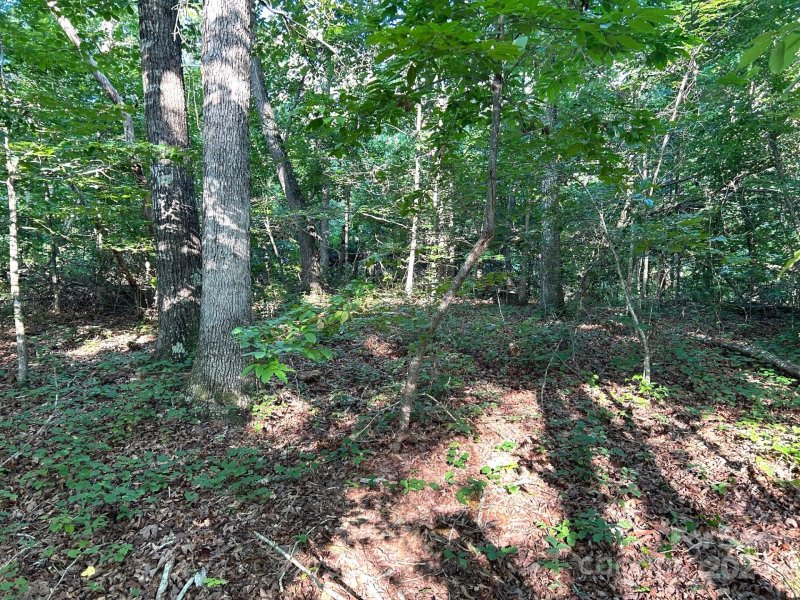 Property image 4 at 00 Beechwood Circle, Rutherfordton, NC 28139