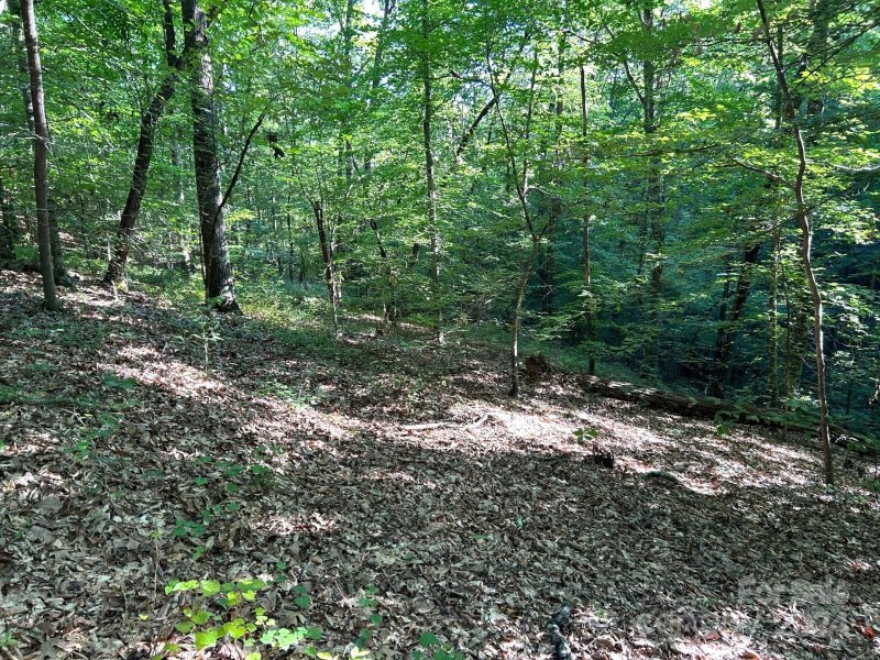 Property image 5 at 00 Beechwood Circle, Rutherfordton, NC 28139