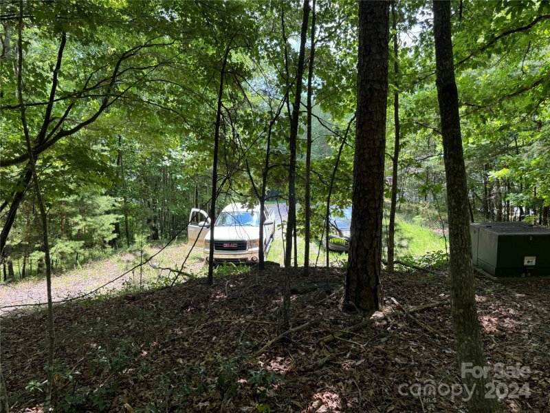 Property image 2 at 0 Hawks Court, Lake Lure, NC 28746