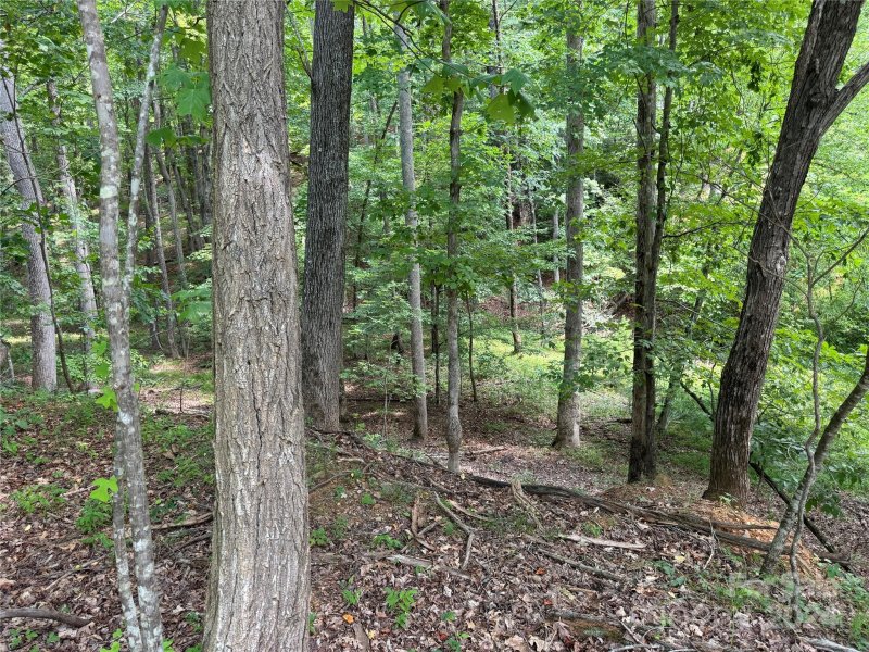 Property image 3 at 0 Hawks Court, Lake Lure, NC 28746