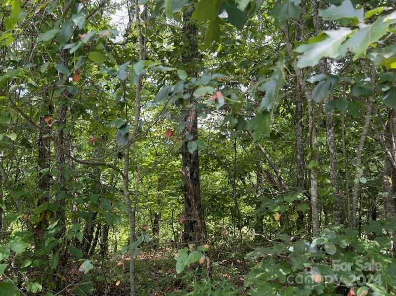 Property image 4 at Tbd Mountain Lookout Drive, Bostic, NC 28018