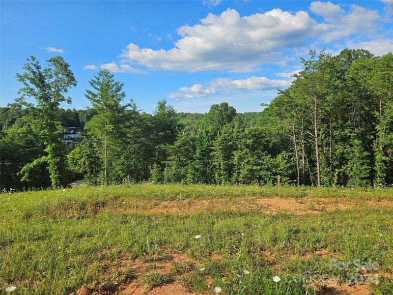 Property image 2 at 161 Wilson Farm Road, Weaverville, NC 28787