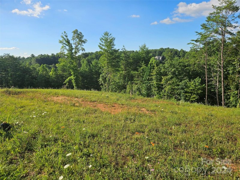 Property image 3 at 161 Wilson Farm Road, Weaverville, NC 28787