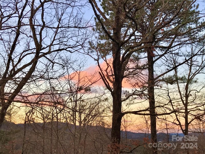 Property image 4 at 261 Franks Cove Road, Brevard, NC 28712