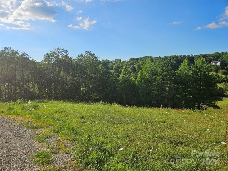 Property image 2 at 163 Wilson Farm Road, Weaverville, NC 28787