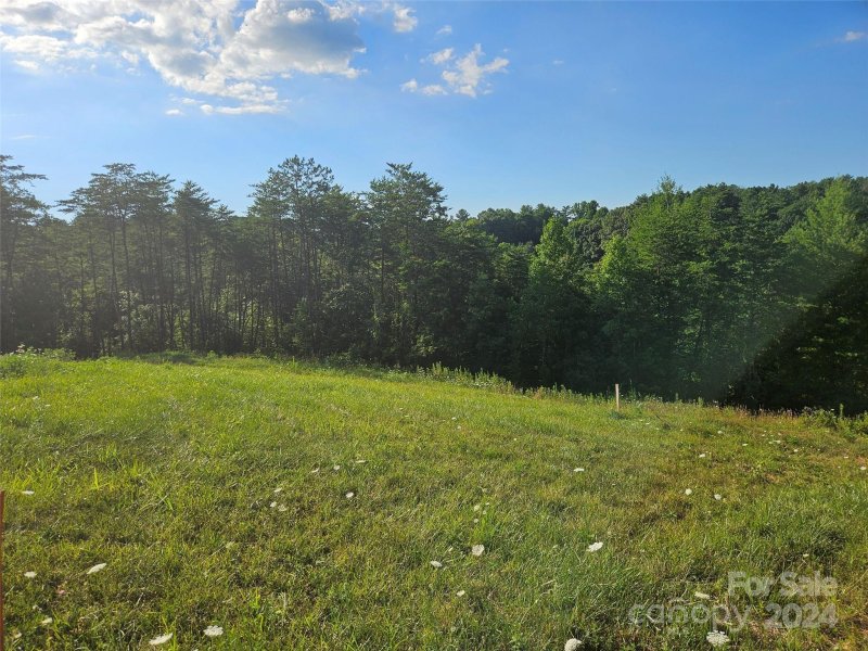 Property image 3 at 163 Wilson Farm Road, Weaverville, NC 28787