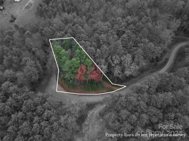 Property image 3 at Lot 12 Wildlife Drive, Clyde, NC 28721